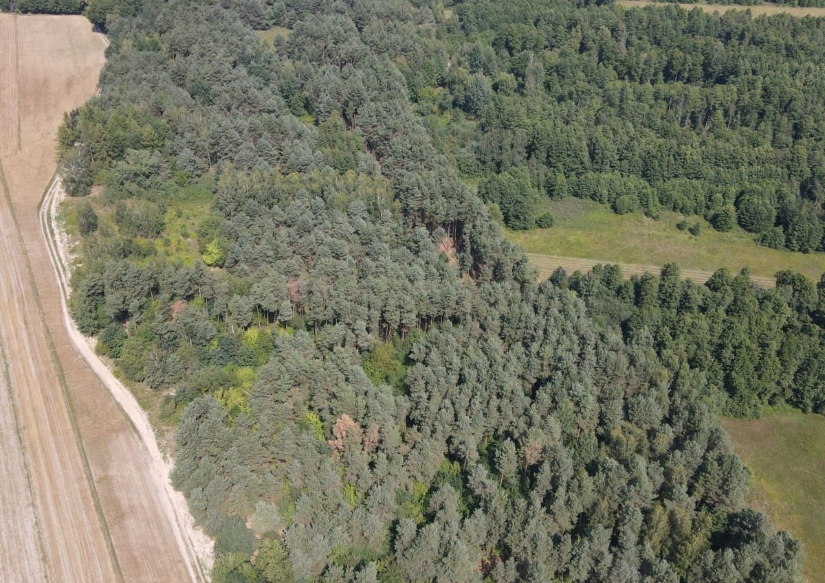 Działka  pokojowe na Sprzedaż