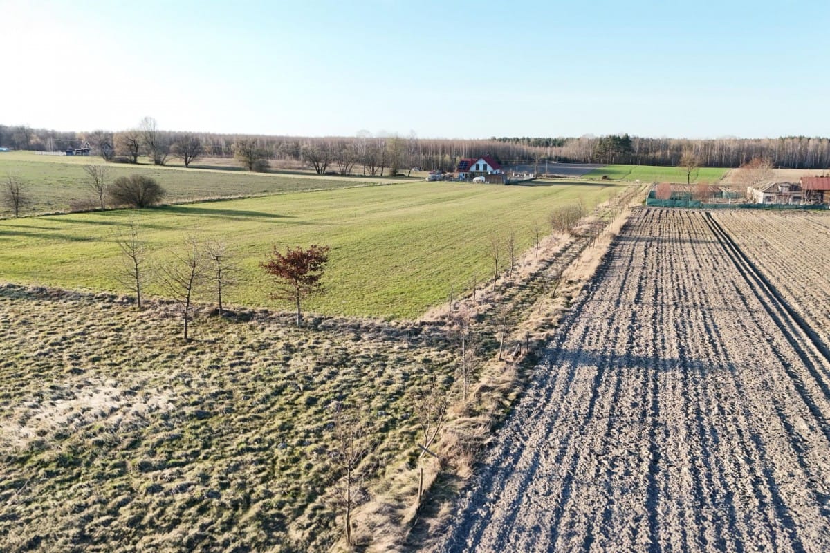 Działka  pokojowe na Sprzedaż