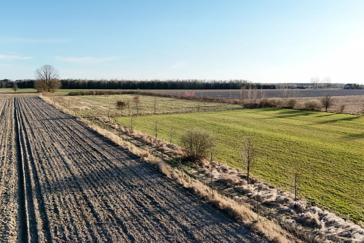 Działka  pokojowe na Sprzedaż