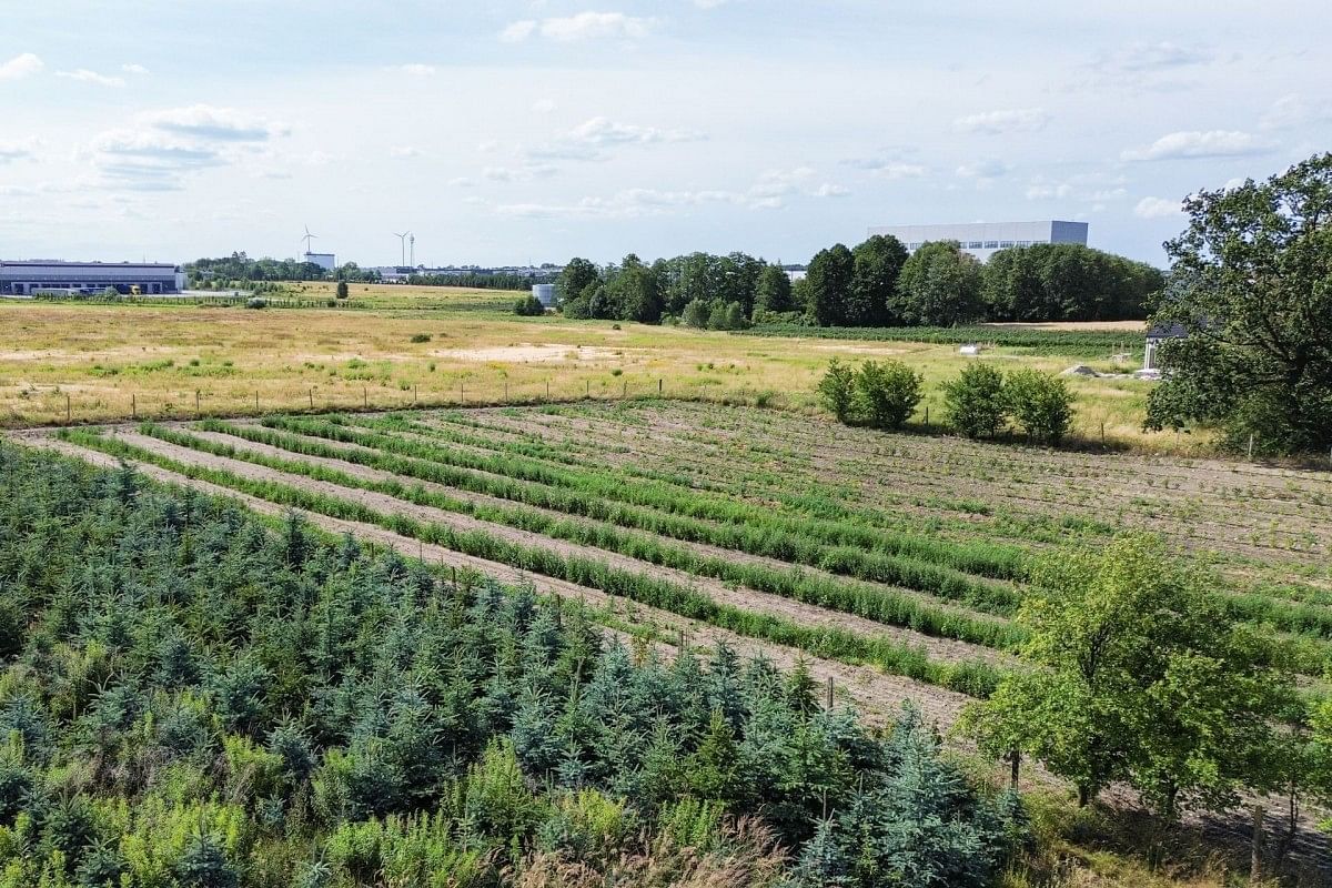 Działka  pokojowe na Sprzedaż