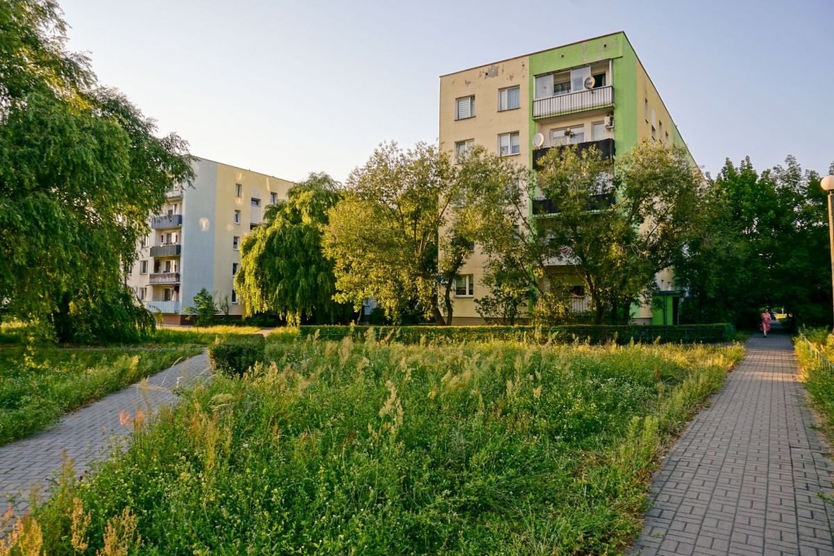 Mieszkanie 3 pokojowe na Sprzedaż