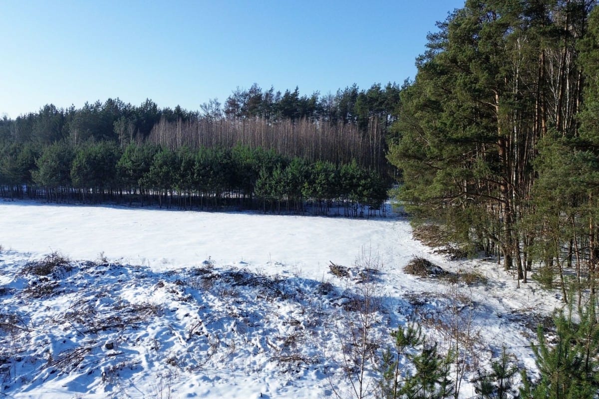 Działka  pokojowe na Sprzedaż