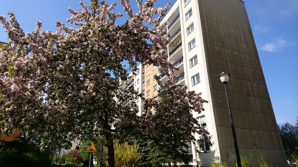 Mieszkanie 1 pokojowe na Sprzedaż