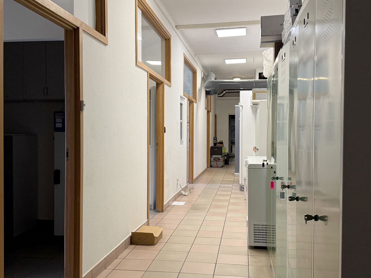 Lokal użytkowy  pokojowe na Wynajem