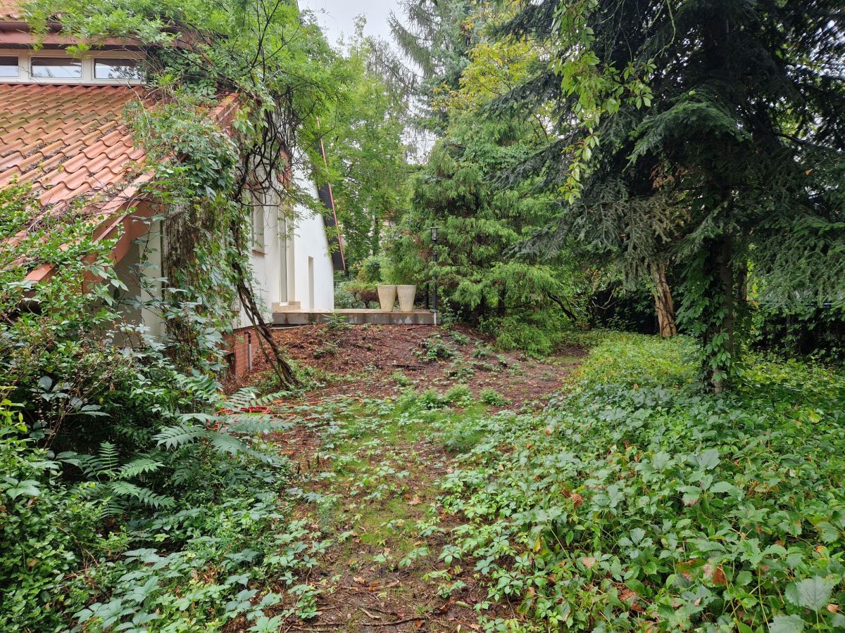 Dom 6 pokojowe na Wynajem