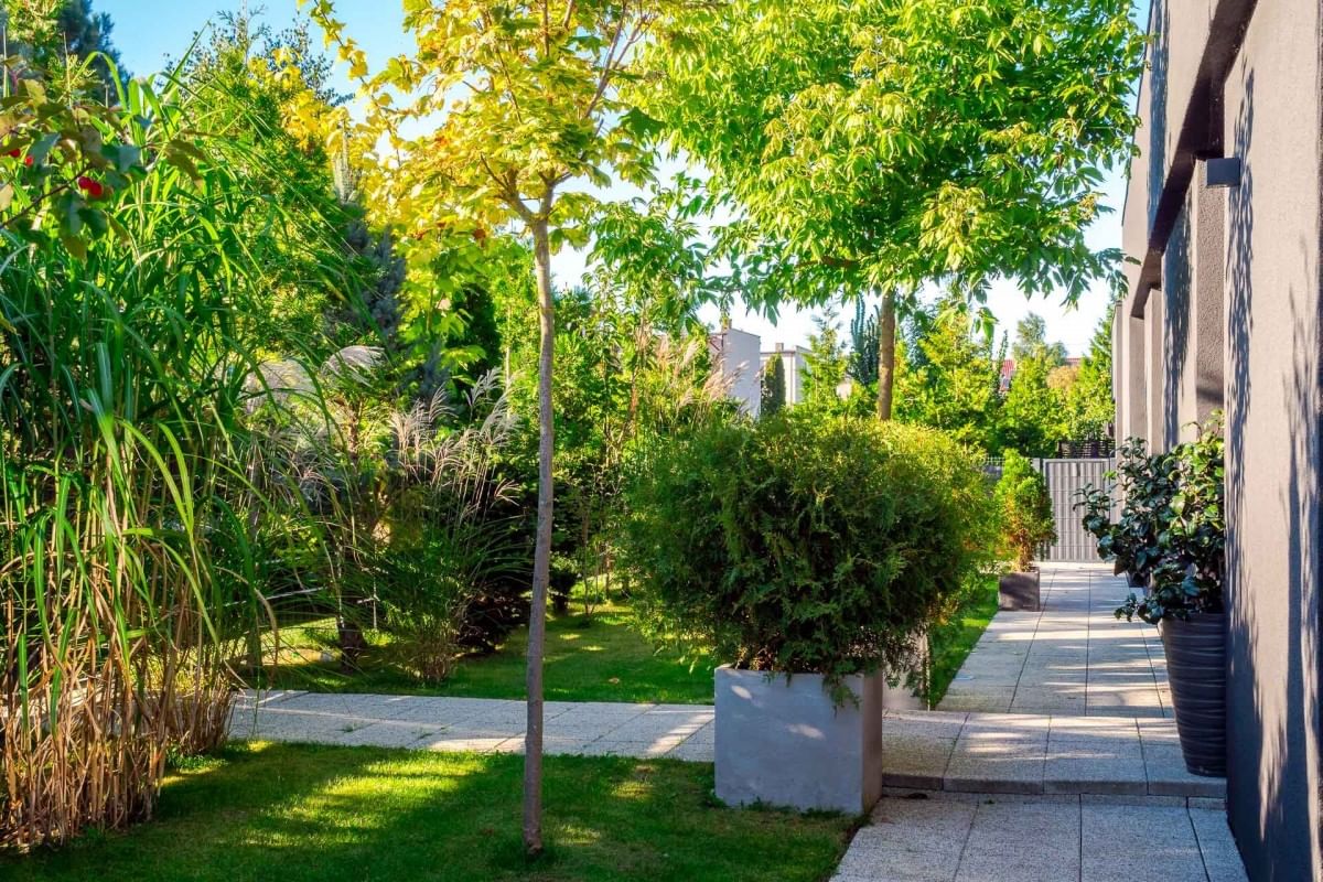 Lokal użytkowy  pokojowe na Sprzedaż