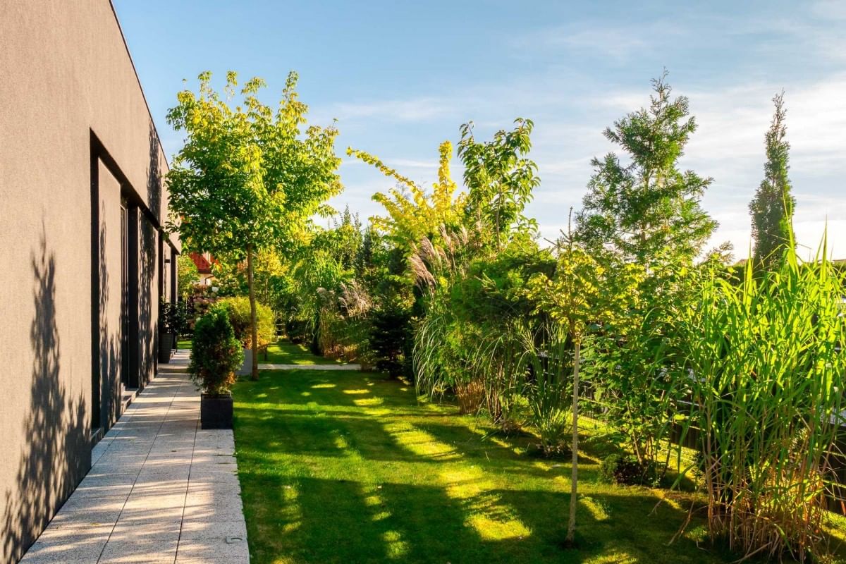 Lokal użytkowy  pokojowe na Sprzedaż