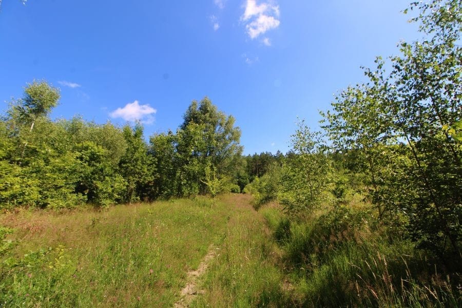 Działka  pokojowe na Sprzedaż
