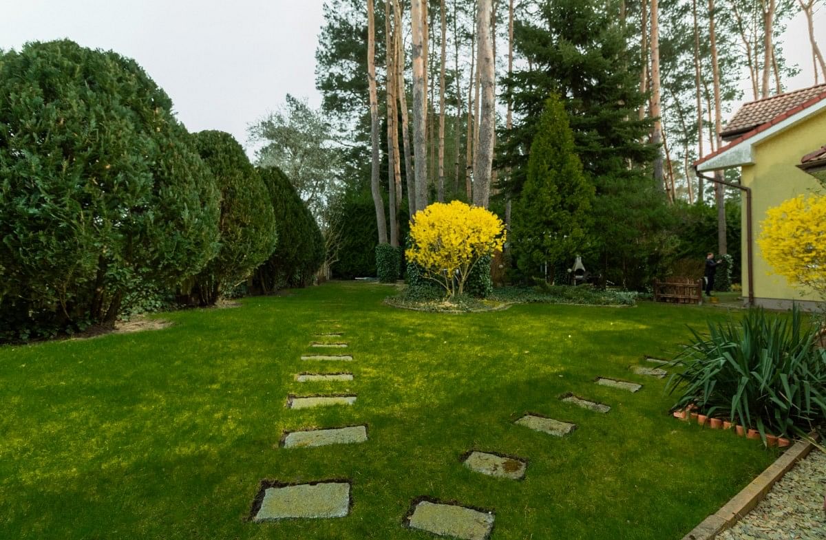 Lokal użytkowy  pokojowe na Sprzedaż