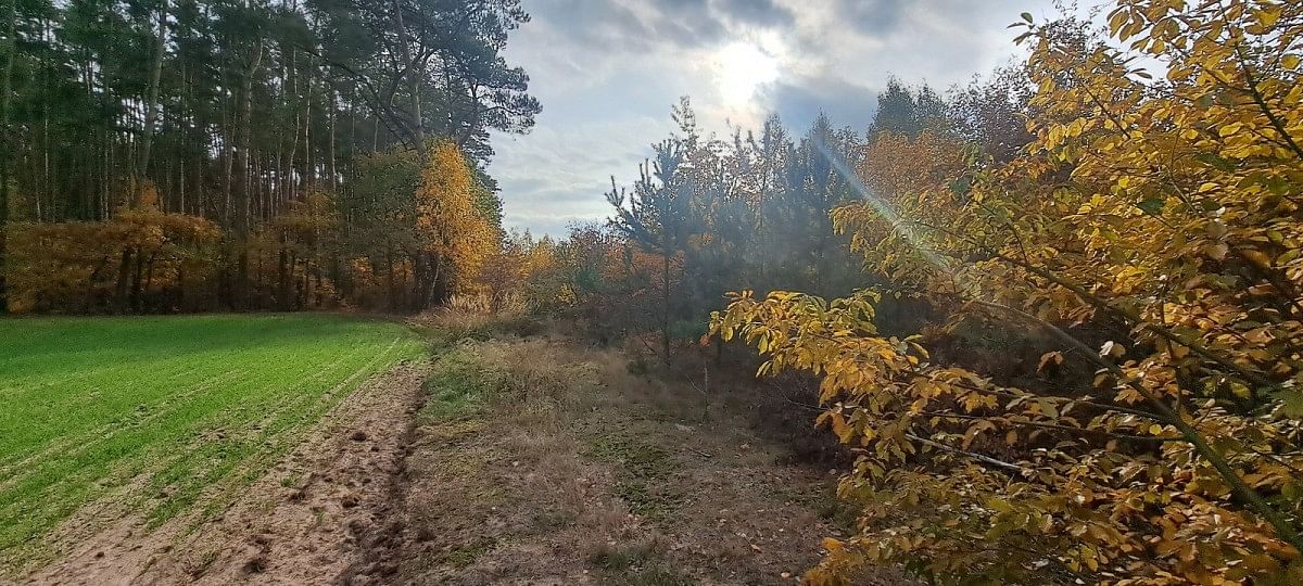 Działka  pokojowe na Sprzedaż