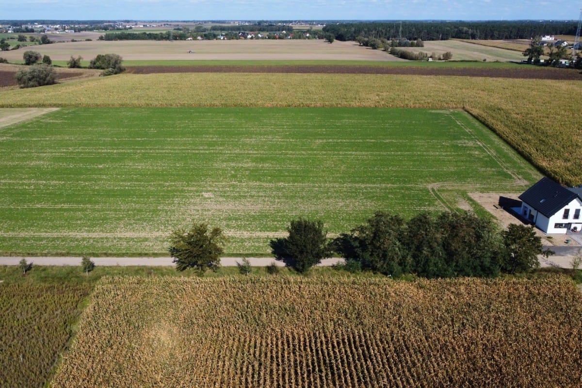 Działka  pokojowe na Sprzedaż