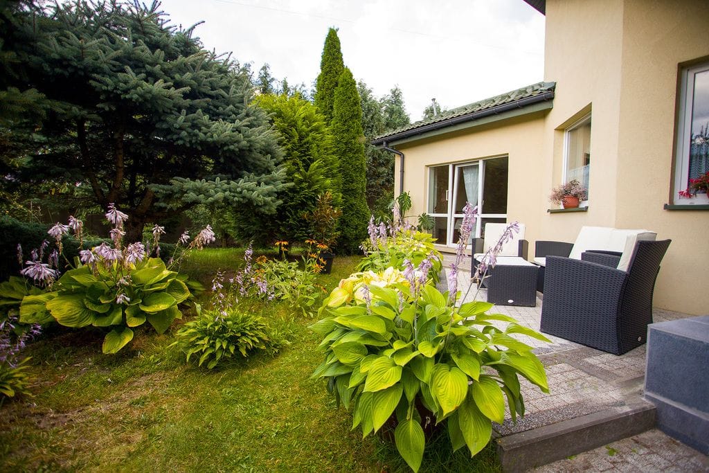 Dom 5 pokojowe na Sprzedaż