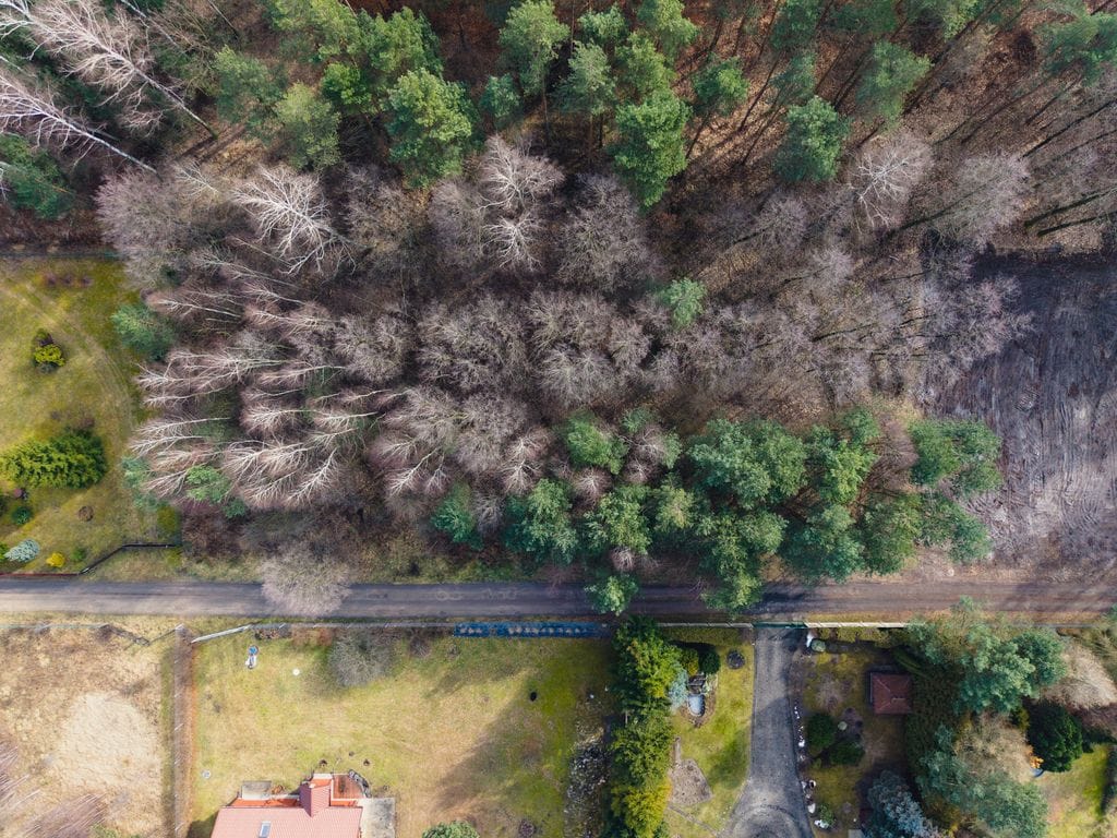 Działka  pokojowe na Sprzedaż