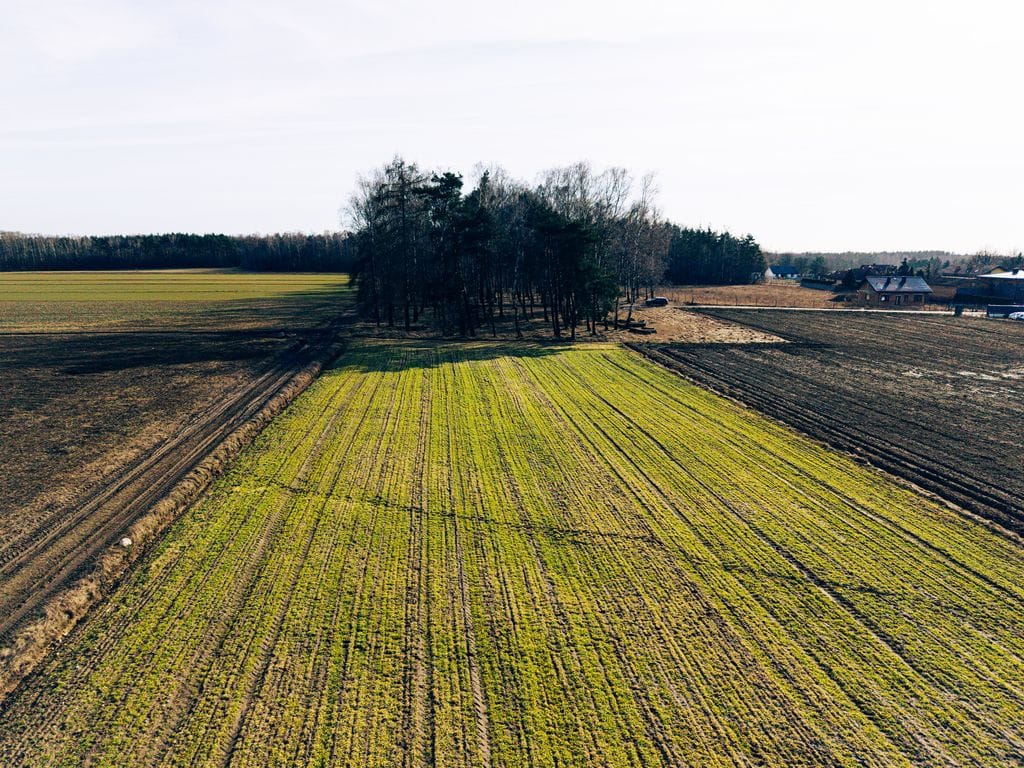 Działka  pokojowe na Sprzedaż