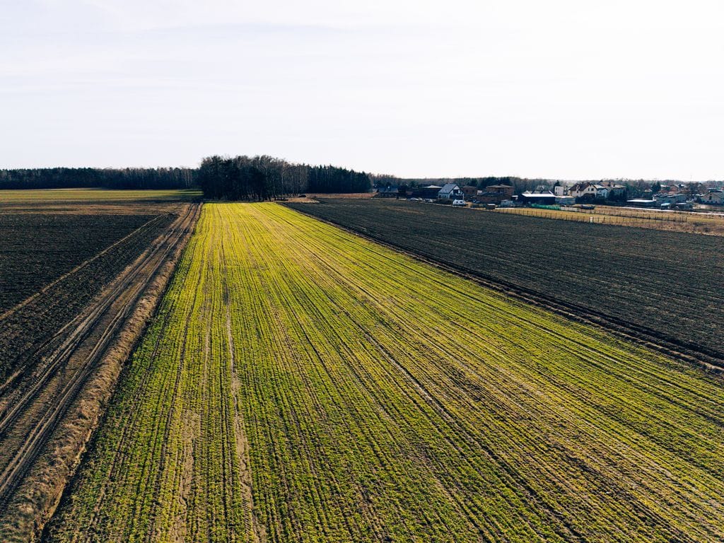 Działka  pokojowe na Sprzedaż