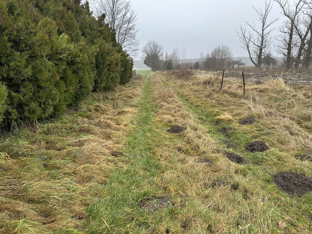 Działka  pokojowe na Sprzedaż