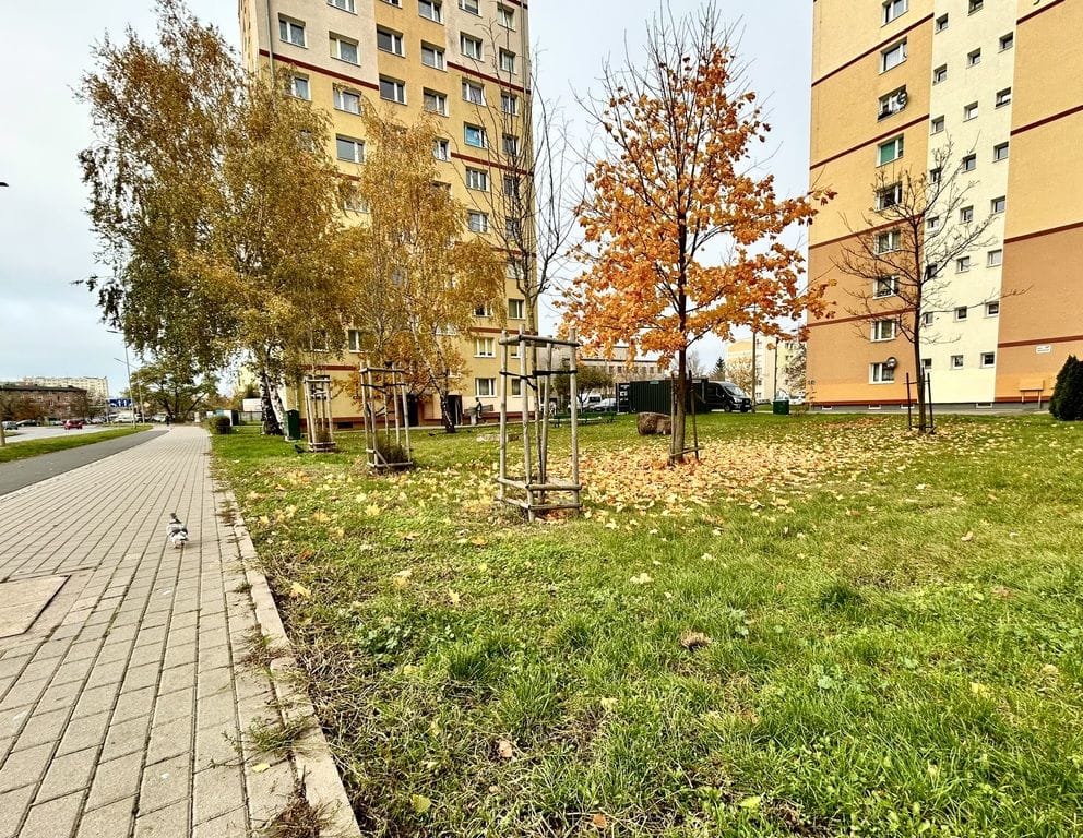 Mieszkanie 2 pokojowe na Sprzedaż