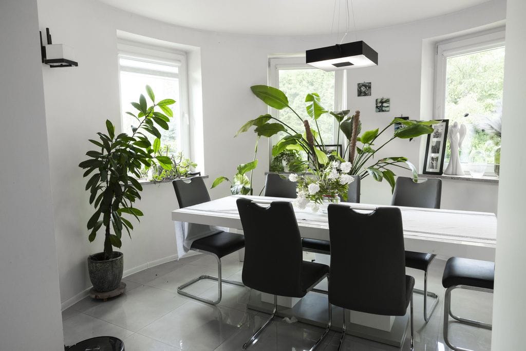 Dom 4 pokojowe na Sprzedaż