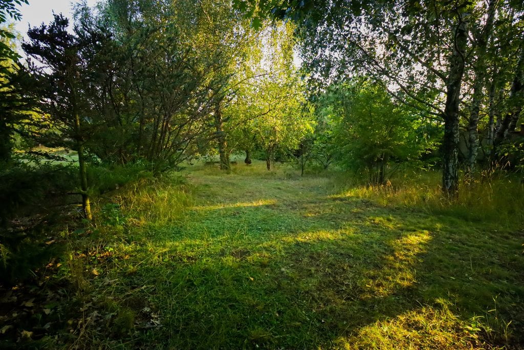 Dom 6 pokojowe na Sprzedaż