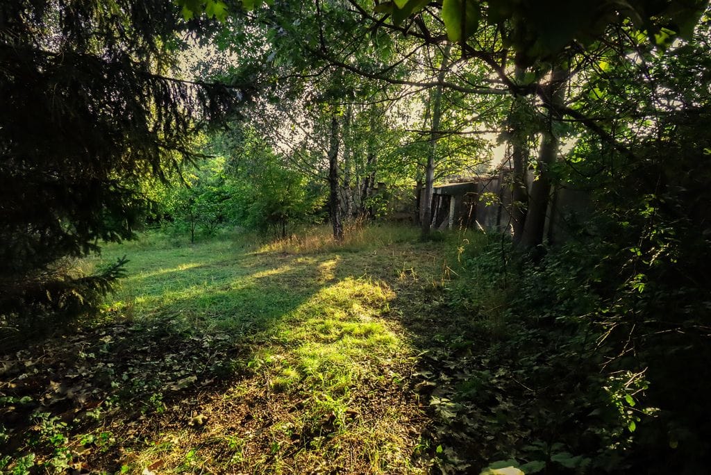 Dom 6 pokojowe na Sprzedaż