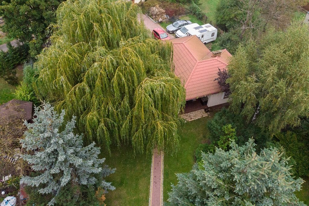 Dom 6 pokojowe na Sprzedaż