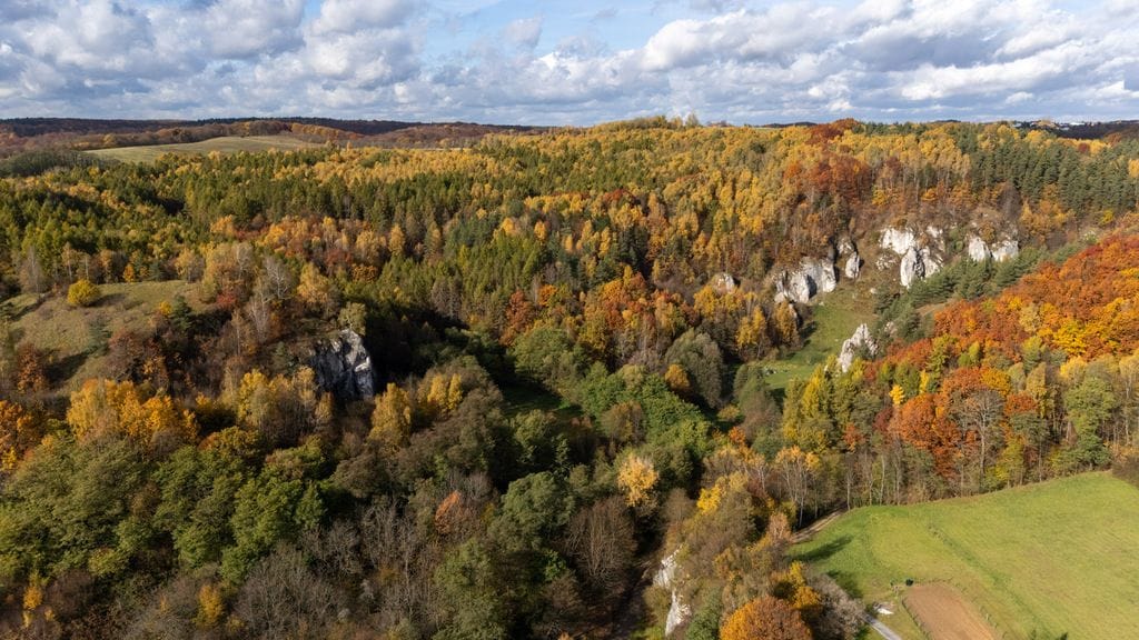 Dom 3 pokojowe na Sprzedaż
