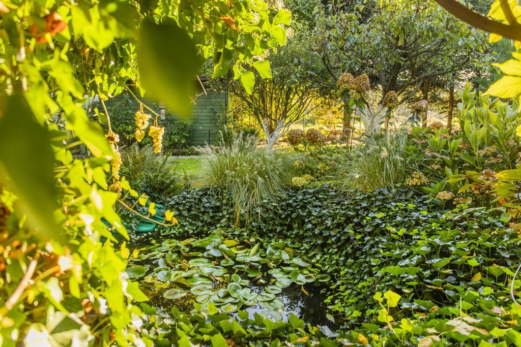 Dom 5 pokojowe na Sprzedaż