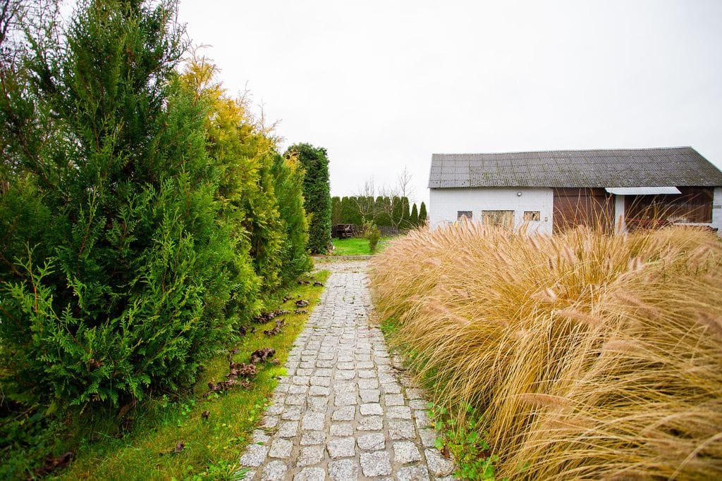 Dom 7 pokojowe na Sprzedaż