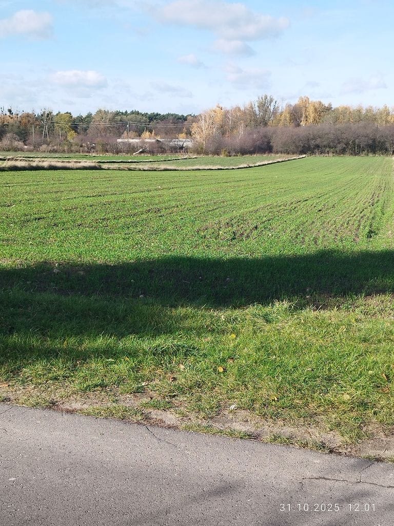 Działka  pokojowe na Sprzedaż