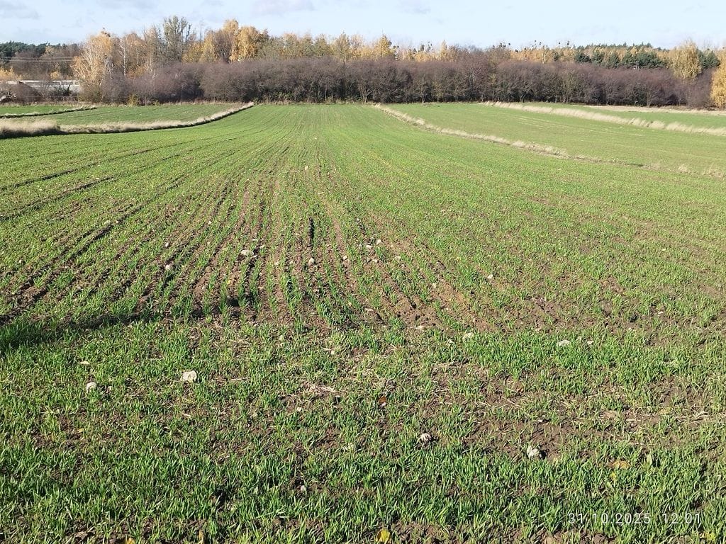 Działka  pokojowe na Sprzedaż