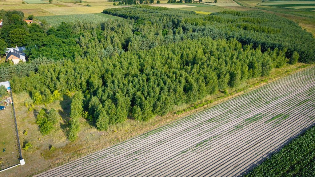 Działka  pokojowe na Sprzedaż