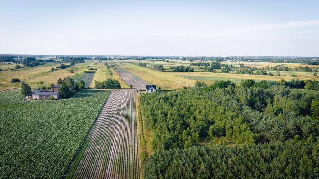Działka  pokojowe na Sprzedaż