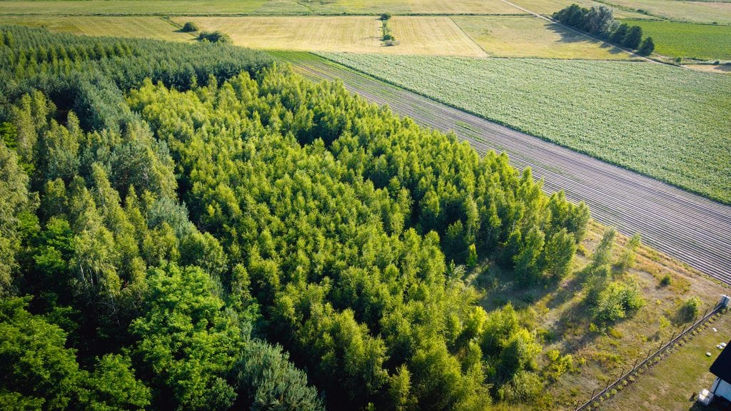 Działka  pokojowe na Sprzedaż