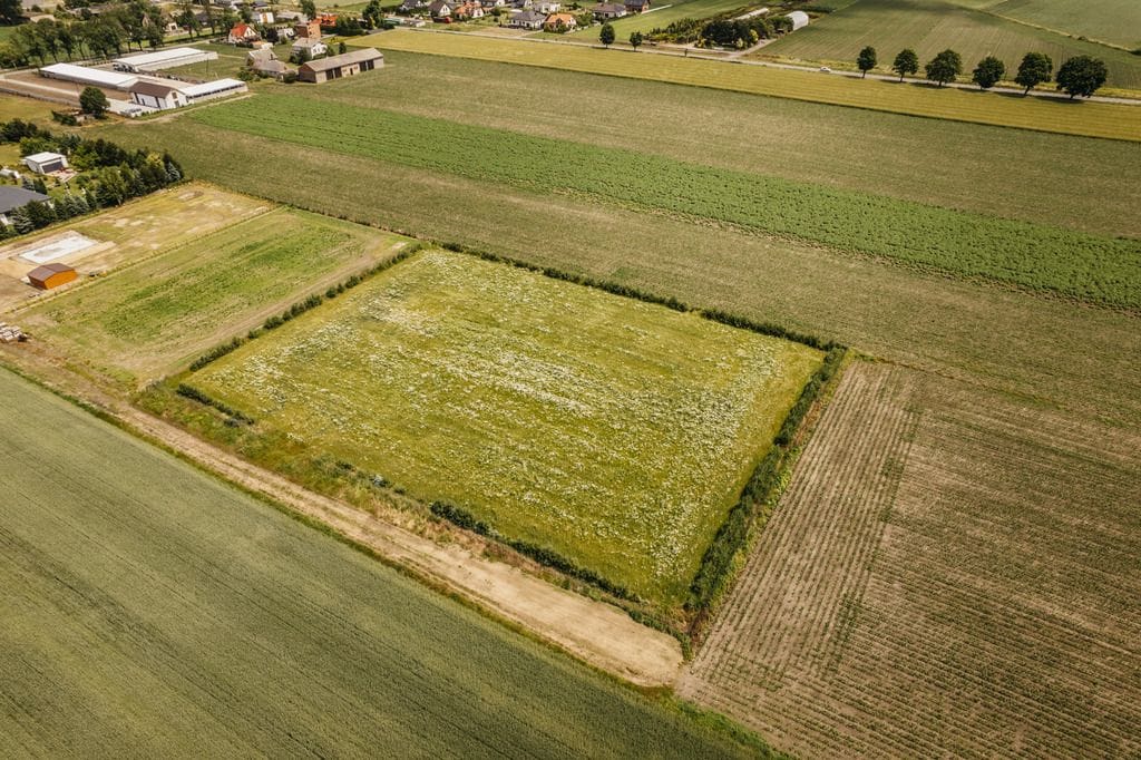 Działka  pokojowe na Sprzedaż