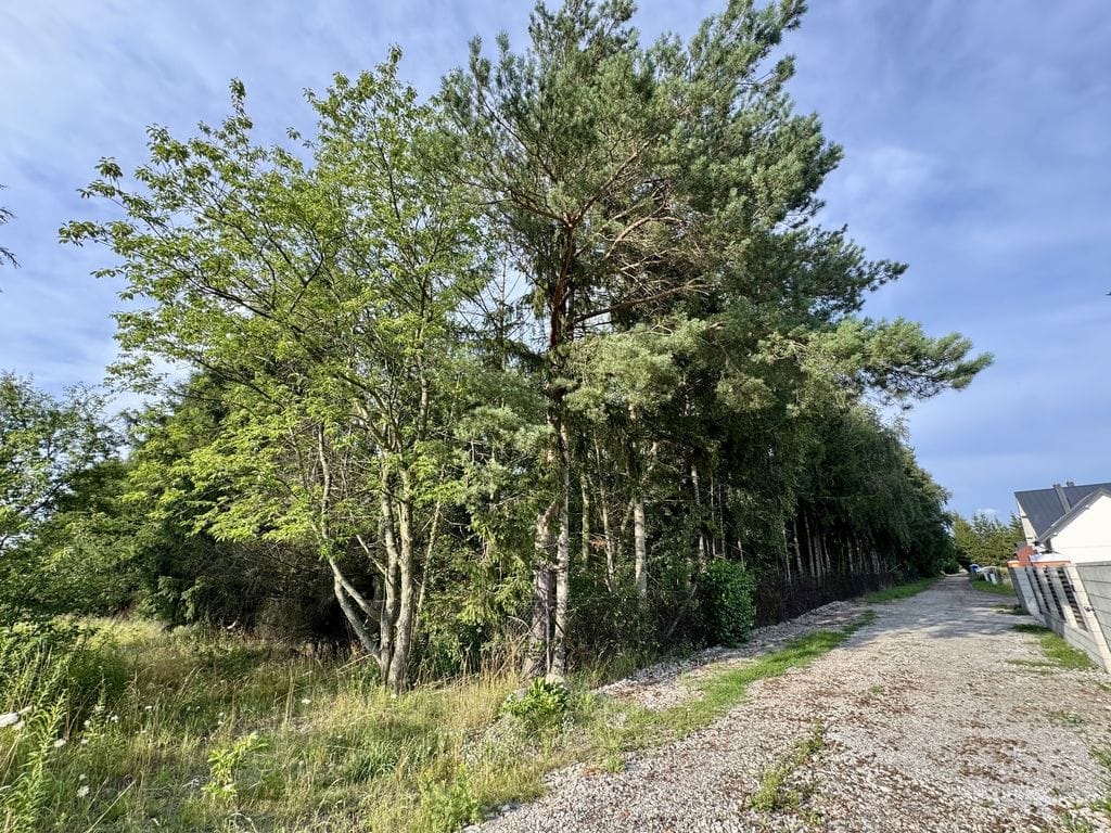 Działka  pokojowe na Sprzedaż