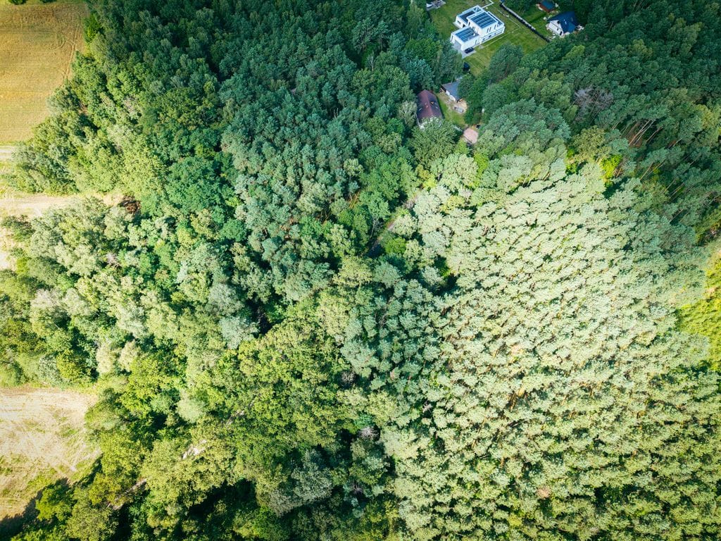 Działka  pokojowe na Sprzedaż
