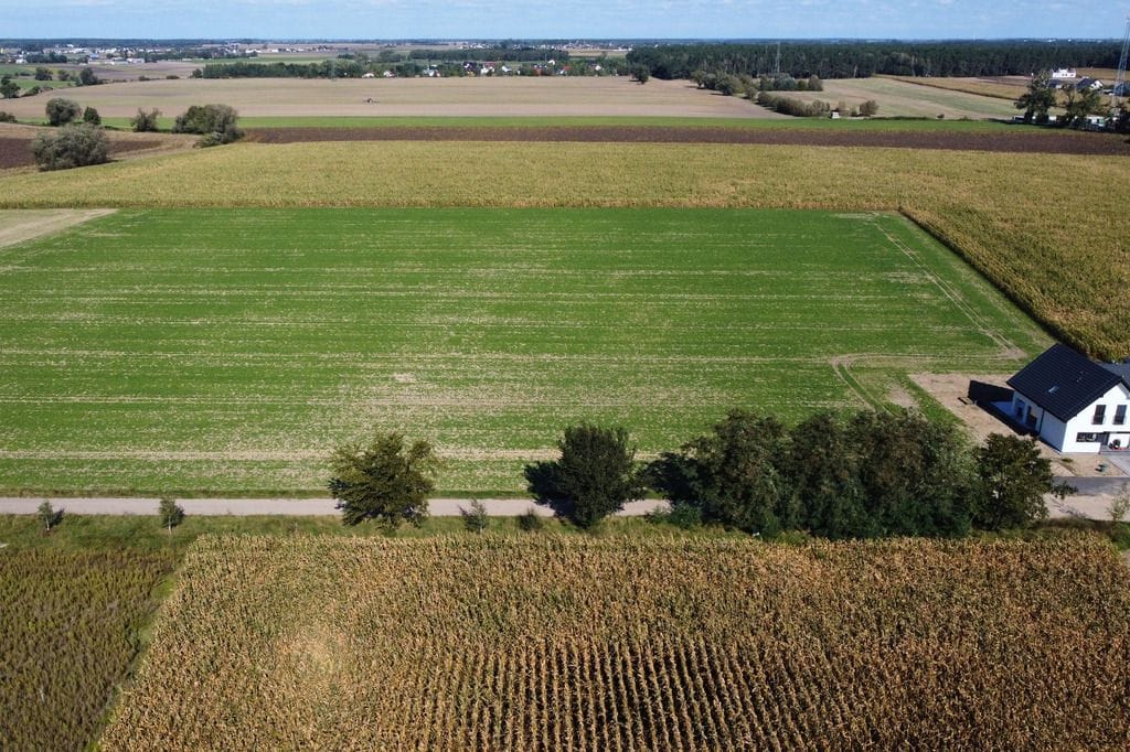 Działka  pokojowe na Sprzedaż