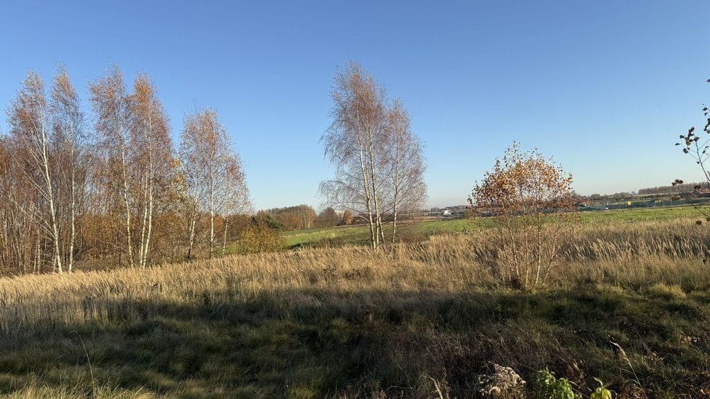 Działka  pokojowe na Sprzedaż