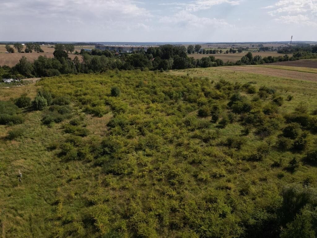 Działka  pokojowe na Sprzedaż