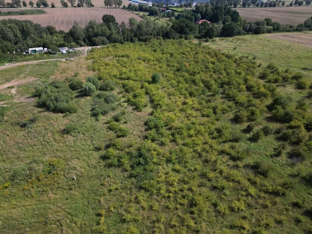 Działka  pokojowe na Sprzedaż