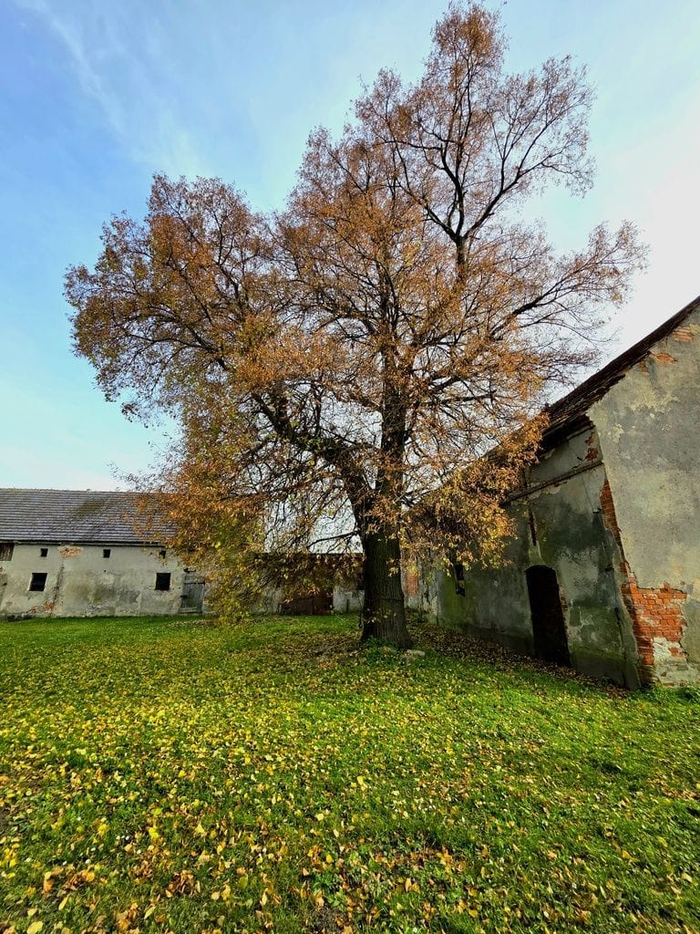 Dom 3 pokojowe na Sprzedaż