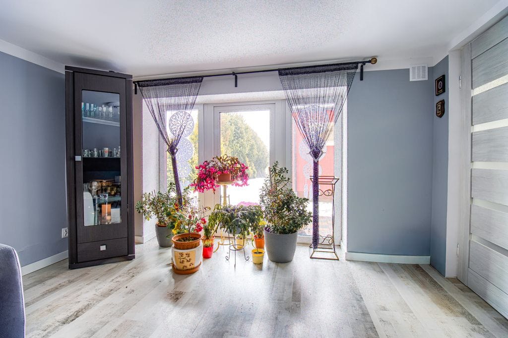 Dom 8 pokojowe na Sprzedaż