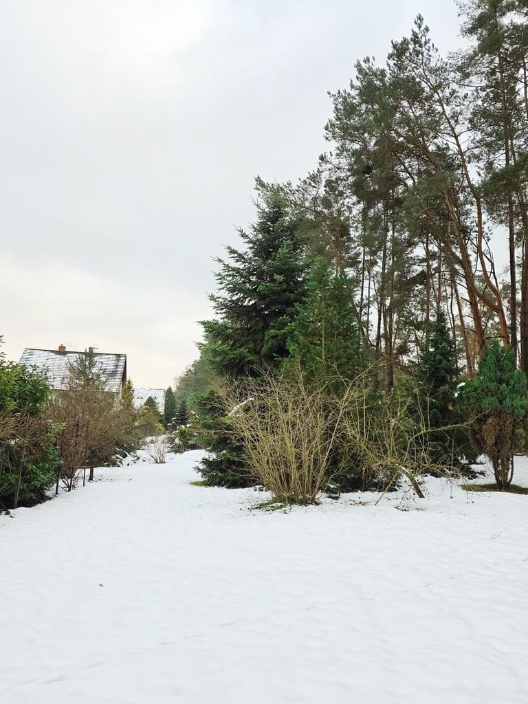 Dom 7 pokojowe na Sprzedaż