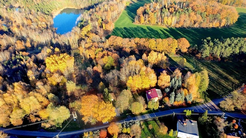 Dom 5 pokojowe na Sprzedaż