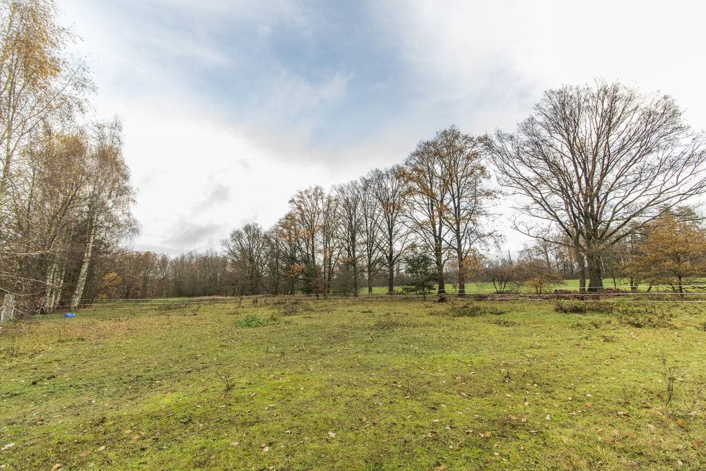 Dom 5 pokojowe na Sprzedaż