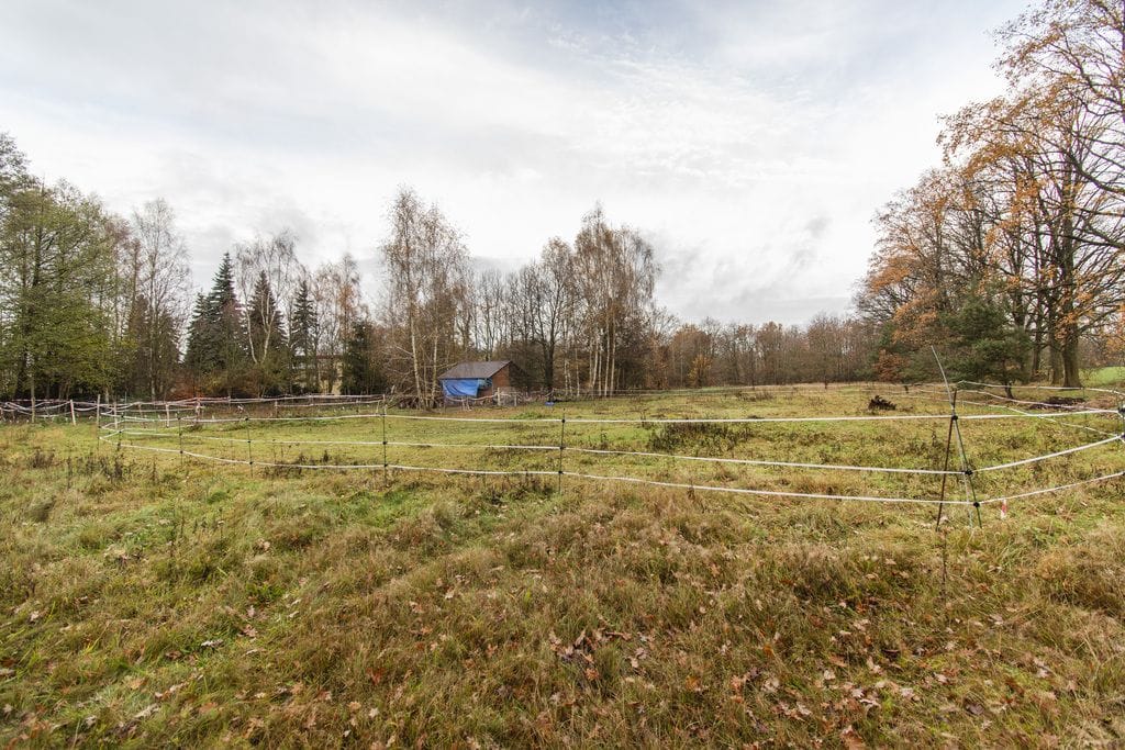 Dom 5 pokojowe na Sprzedaż