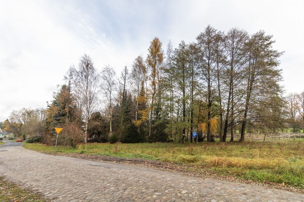 Dom 5 pokojowe na Sprzedaż