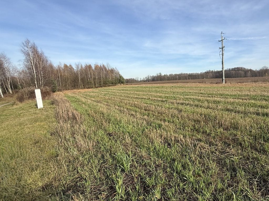 Działka  pokojowe na Sprzedaż