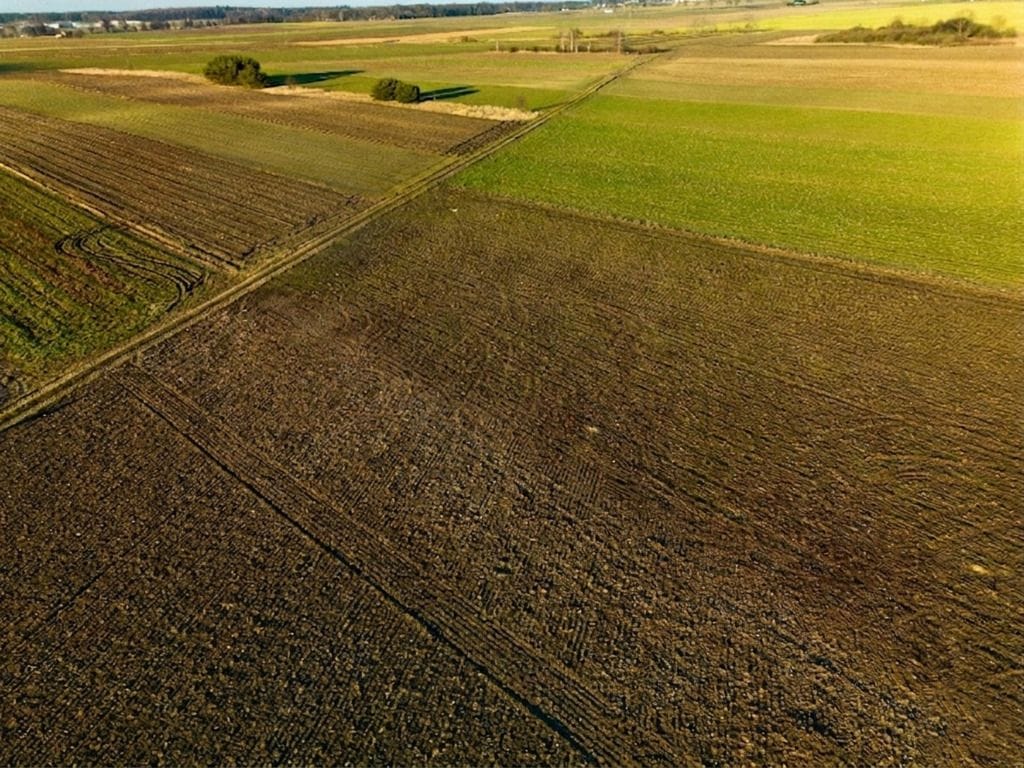 Działka  pokojowe na Sprzedaż