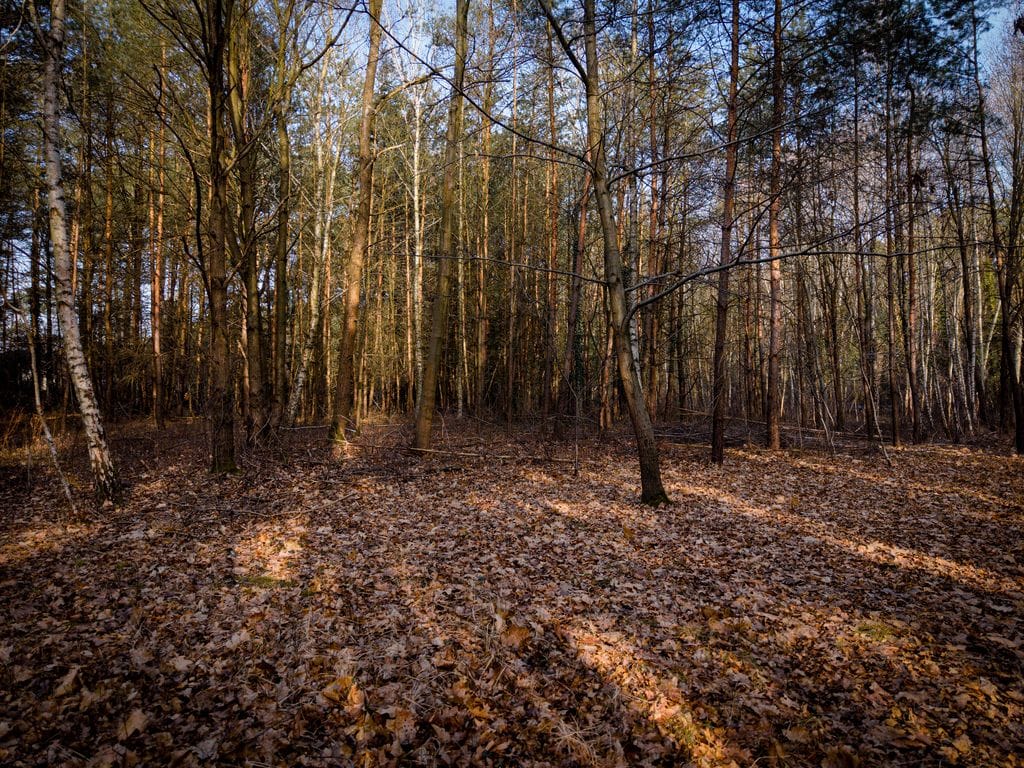 Działka  pokojowe na Sprzedaż